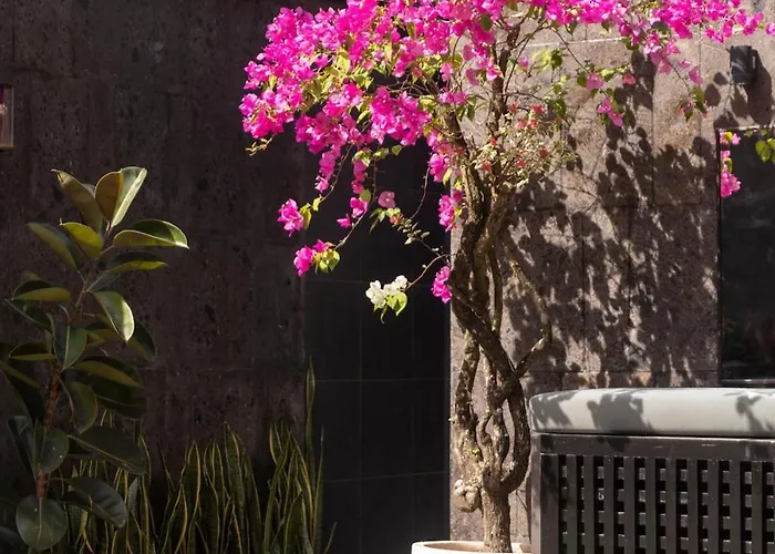 Carlita - Modern 3br Pool * Uluwatu